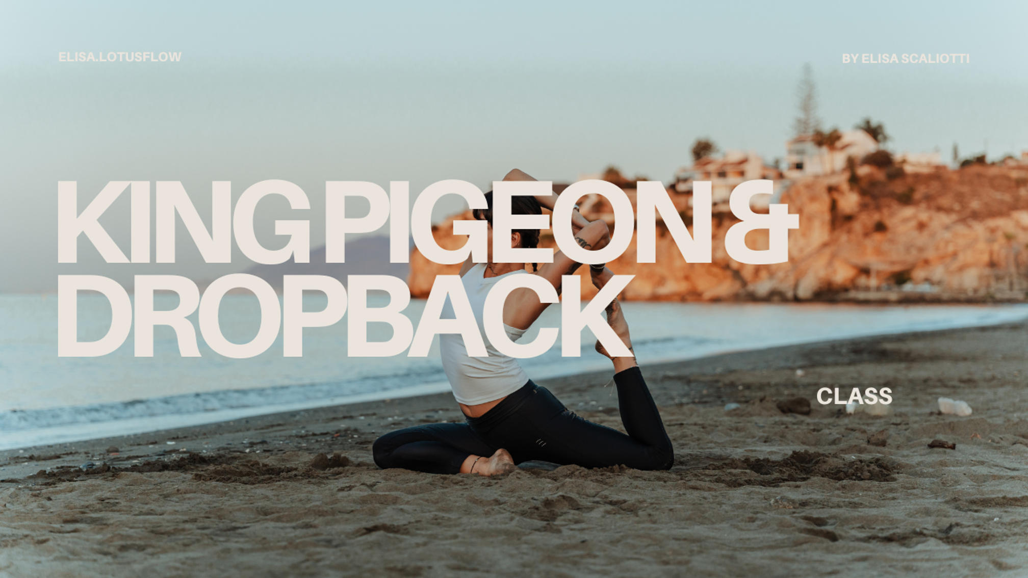 King Pigeon & Dropback